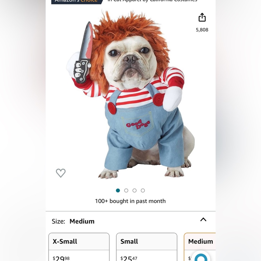 Pet Costume